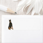 Doberman-Rücksendeadresse (Insitu)