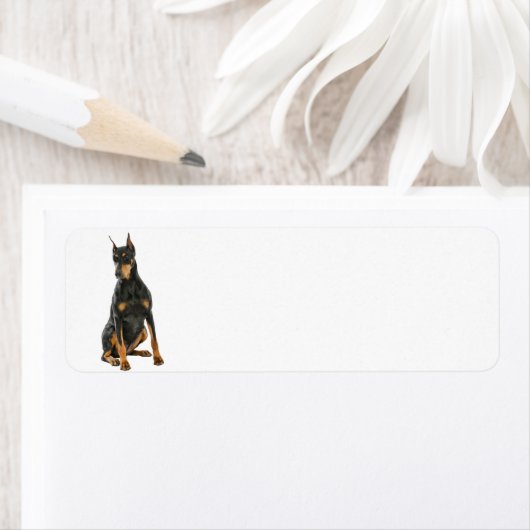 Doberman-Rücksendeadresse (Insitu)