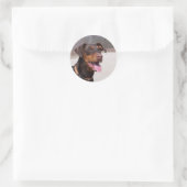 Doberman Runder Aufkleber (Tasche)