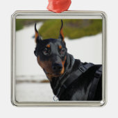 Doberman - Schwarz - Bogie Silbernes Ornament (Vorne)