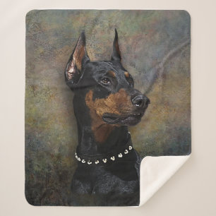 Doberman Sherpadecke