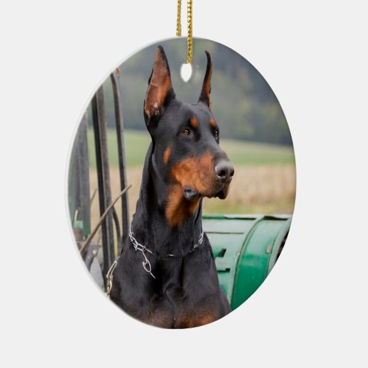 Doberman sitzt in einem grünen Landhaus Keramik Ornament (Rechts)