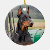 Doberman sitzt in einem grünen Landhaus Keramik Ornament (Vorne)