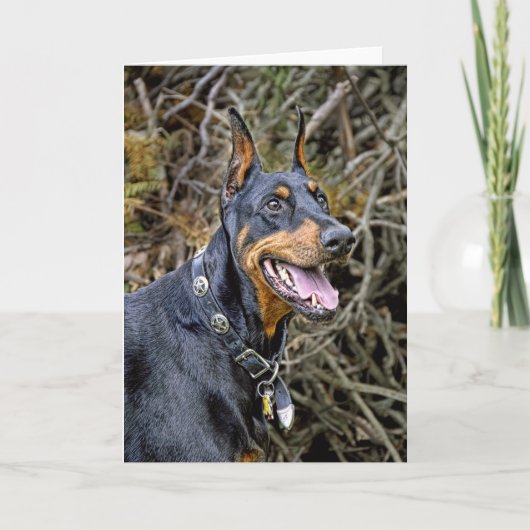 Doberman Smile Karte (Vorderseite)