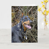 Doberman Smile Karte (Gelbe Blume)