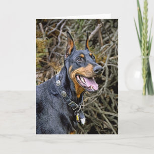 Doberman Smile Karte