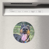 Doberman Smiling Magnet (In Situ (Geschirrspüler))