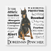 Doberman Traits Magnet (Vorne)