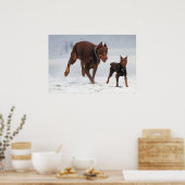 Doberman und Min Button - OK! Ein Mini-Ich! Poster (Küche)