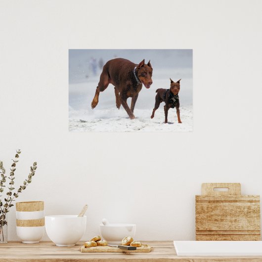Doberman und Min Button - OK! Ein Mini-Ich! Poster (Küche)