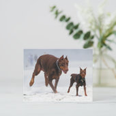 Doberman und Min Button - OK! Ein Mini-Ich! Postkarte (Stehend Vorderseite)