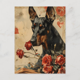 Doberman Vintag Valentinstag Postkarte