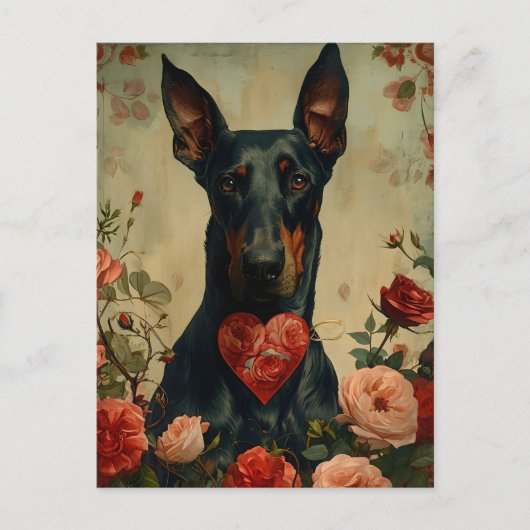 Doberman Vintag Valentinstag Postkarte (Vorderseite)