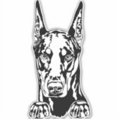 Doberman Vinyl Car Sticker (Vorderseite)