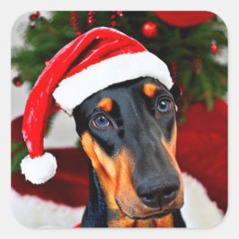 Doberman Weihnachtsmannmütze Quadratischer Aufkleber