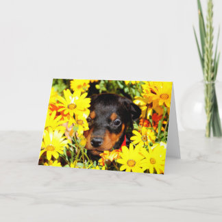 Doberman Welpengrüßkarte Karte