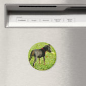 Doberman Welppies Round Magnet (In Situ (Geschirrspüler))