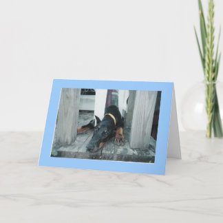 Doberman, wünschst du wärst hier karte