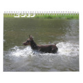 Dobermann 2013 Kalender-verbessert Feb Kalender (Titelbild)