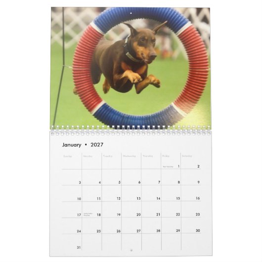 Dobermann 2013 Kalender-verbessert Feb Kalender (Jan 2027)