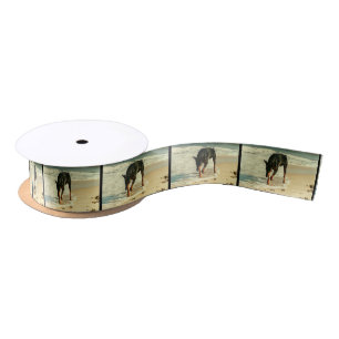Dobermann am Strand-Malerei-Bild Satinband