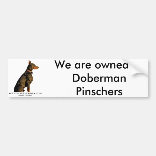 Dobermann-Autoaufkleber Autoaufkleber (Vorne)