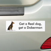 Dobermann-Autoaufkleber Autoaufkleber (Auf Auto)