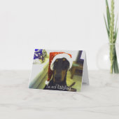 Dobermann Christmast Karte (Vorderseite)