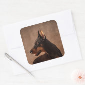Dobermann - Doberman Pinscher Quadratischer Aufkleber (Umschlag)