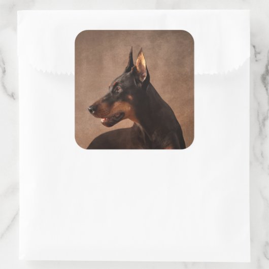 Dobermann - Doberman Pinscher Quadratischer Aufkleber (Tasche)