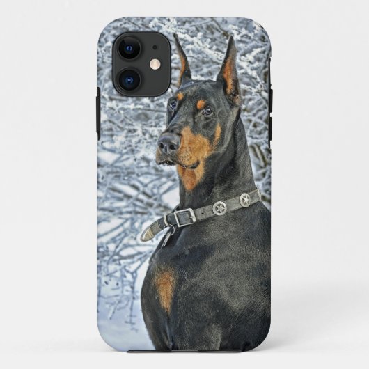 Dobermann-eisiger Tag Case-Mate iPhone Hülle (Rückseite)