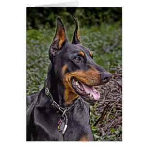 Dobermann-Freude! Karte