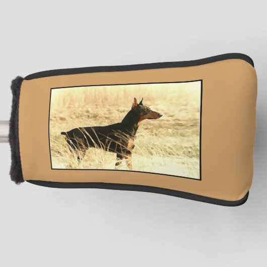 Dobermann in den trockenen Schilfen, die Bild Golf Headcover (Vorderseite)