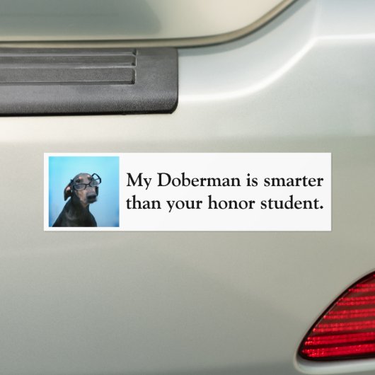 Dobermann ist intelligenter als Ehrenstudent Autoaufkleber (Auf Auto)