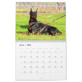 Dobermann-Kalender 2012 Kalender (Mär 2026)