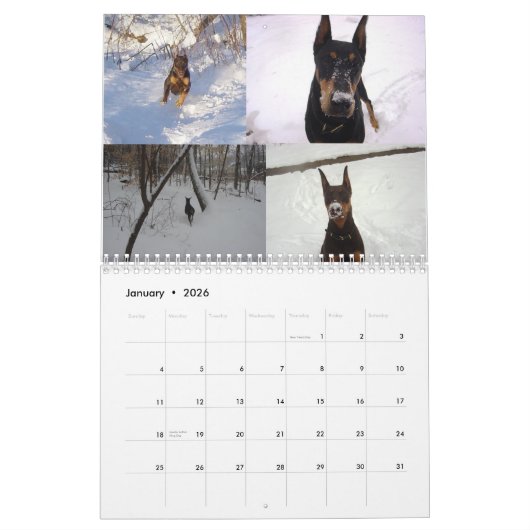 Dobermann-Kalender 2012 wieder Kalender (Jan 2026)