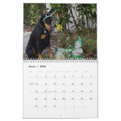 Dobermann-Kalender 2013 Kalender (Mär 2026)