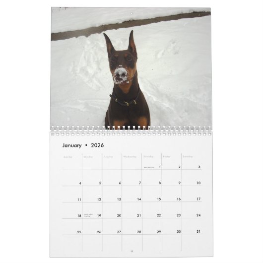 Dobermann-Kalender 2013 Kalender (Jan 2026)
