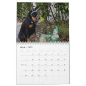 Dobermann-Kalender 2013 Kalender (Mär 2027)