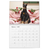 Dobermann-Kalender 2013 Kalender (Feb 2027)
