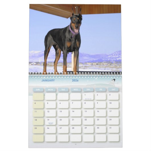 Dobermann-Kalender Kalender (Jan 2026)