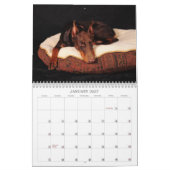 Dobermann-Kalender Kalender (Jan 2027)