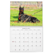 Dobermann-Kalender Kalender (Mär 2027)