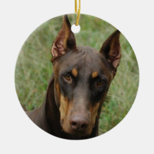 Dobermann Keramikornament