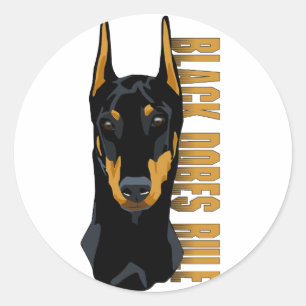Dobermann-Kopf, schwarze Dobes Regel Runder Aufkleber