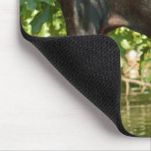 Dobermann-Mausunterlage Mousepad (Ecke)