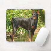 Dobermann-Mausunterlage Mousepad (Mit Mouse)