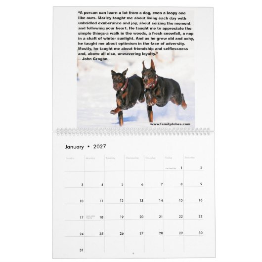 Dobermann Meme Kalender (Jan 2027)