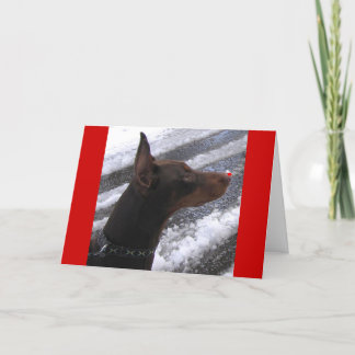 Dobermann mit roter Nasen-Feiertags-Karte Feiertagskarte