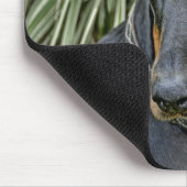 Dobermann mit Schmetterling Mousepad (Ecke)